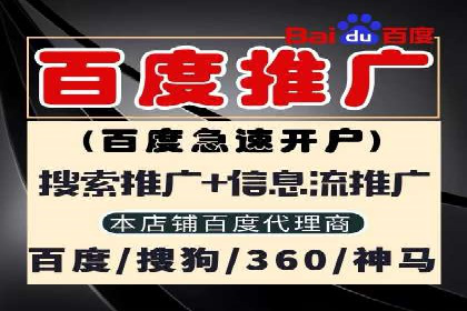 探索sem推广竞价托管的成功之路——以某企业为例